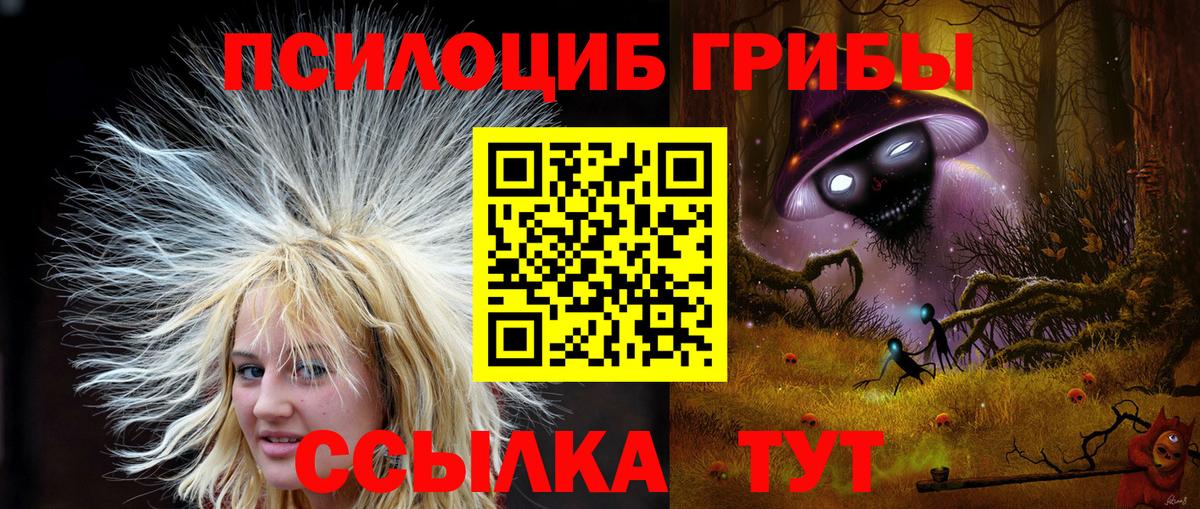 Галлюциногенные грибы MAGIC MUSHROOMS Елабуга