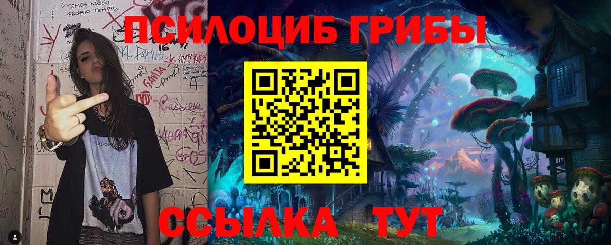 Елабуга  Псилоцибиновые грибы GOLDEN TEACHER  Вход с VPN 