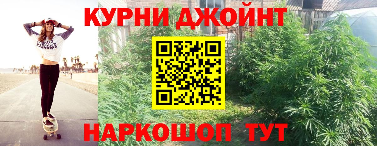 Конопля сатива  Вход с VPN  Канабис VHQ  Елабуга  Шишки марихуана ГИДРОПОН 